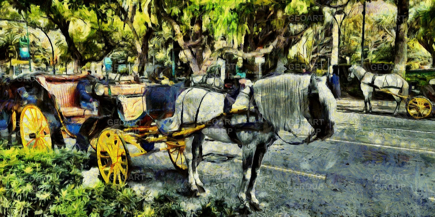 Plaza De La Marina - Horse Drawn Carriage - Malaga City